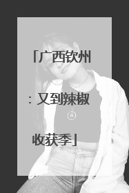 广西钦州：又到辣椒收获季